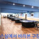 지나핑퐁