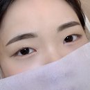 피고지고 | 4월일상 | 벚꽃이 피고 지고 ..