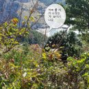 참한약국 이미지
