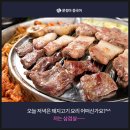 내맘대로돼지 이미지