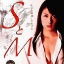 카와무라 리카 카카오 검색결과