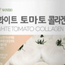 화이트엔토마토