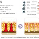 스페셜성형외과의원 이미지
