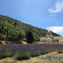 세낭크 | 라벤더밭으로 유명한 세낭크 수도원 Abbaye Notre-Dame de Sénanque 방문후기, 프랑스 남부여행 중...