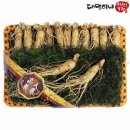 대명 농장 이미지