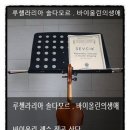 루첼라리아 이미지
