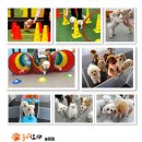 송정유치원 이미지