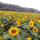 여난농장 이미지