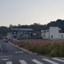 동막부동산공인중개사사무소 이미지