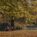 국도37호선(2) | 경기도 단풍명소 , 단풍구경 시기 정리해 봅니다.