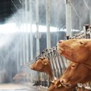 산우리농장 이미지