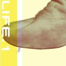 알이조아 이미지