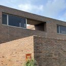 한동리브로콜리 이미지