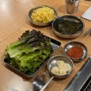 형제민물장어 | 신월동 장어 맛집 형제민물장어 재방문 후기 역시 국내산 민물장어🤎