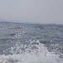 서10-410 | 코타키나발루 셋째날｜세팡가르섬 투어 &amp; 샹그릴라 탄중아루 1층 오션뷰 솔직후기