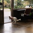 송당퐁당 | 제주 비자림 근처 카페 차한모금 디저트 3종 후기