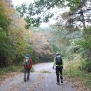 도림국제관광호텔 이미지