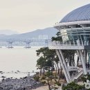 옐로우라이트하우스 이미지