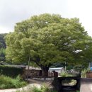 학동마을 이미지