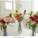 팜팜스토어 이미지