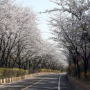 옹암해변주차장 이미지