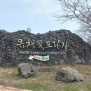 유채꽃프라자 이미지
