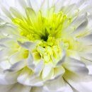 Movies & English 이미지