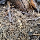 하늘소농장 이미지