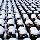 발효식품 이미지