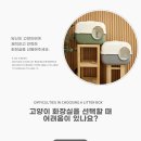 녹색켄넬 이미지