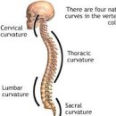 플랫(flat) 이미지