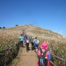 신창길2 이미지