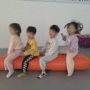 세종체육도장 네이버블로그