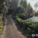 벌교 오충각 이미지