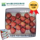 농수산물 온라인도매시장 이미지