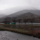 팔팔민박 이미지