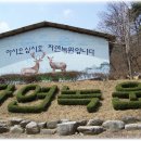 옛책고을박물관 티스토리