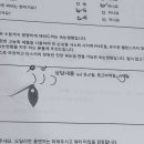 경산속눈썹 아틀리에무아