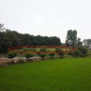 문곡보건진료소 | [평택토지경매] 경기도 평택시 고덕면 문곡리 587
