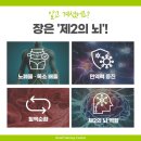 장청뇌청