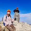 장여사김밥 이미지