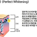 엘리나의원 이미지