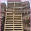 태인물류 이미지