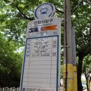 쌍용2단지삼거리-쌍용스윗닷홈2단지 정문 | 05/10, 때 놓친 백양산 애진봉 철쭉군락지 가봤더니 역시나 ㅠㅠ