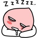 막내사 - 28546 | 막내사