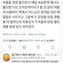벌툰포항 이미지