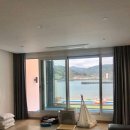 파레사애견풀빌라 이미지