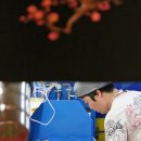 이마트에브리데이 백석점 네이버블로그