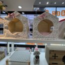 강아지분양 더펫 이미지