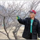 영포농장 이미지